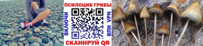 Галлюциногенные грибы мицелий Иннополис